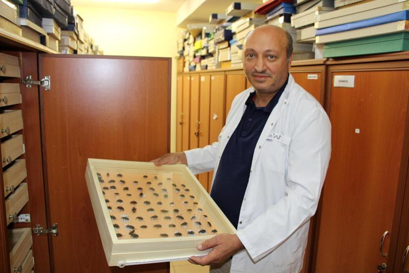 10 yılda 100 bin böcek toplayarak ’Böcek Müzesi’ yaptılar