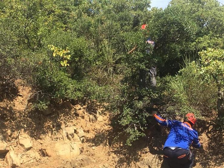 Tekirdağda yamaç paraşütçüsü ağaçlık alana düştü