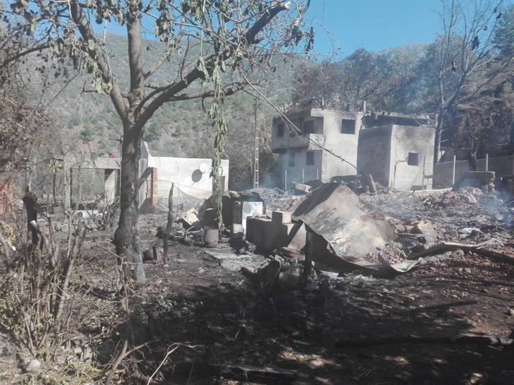 Kastamonuda yangında küle dönen köyde hasar tespiti