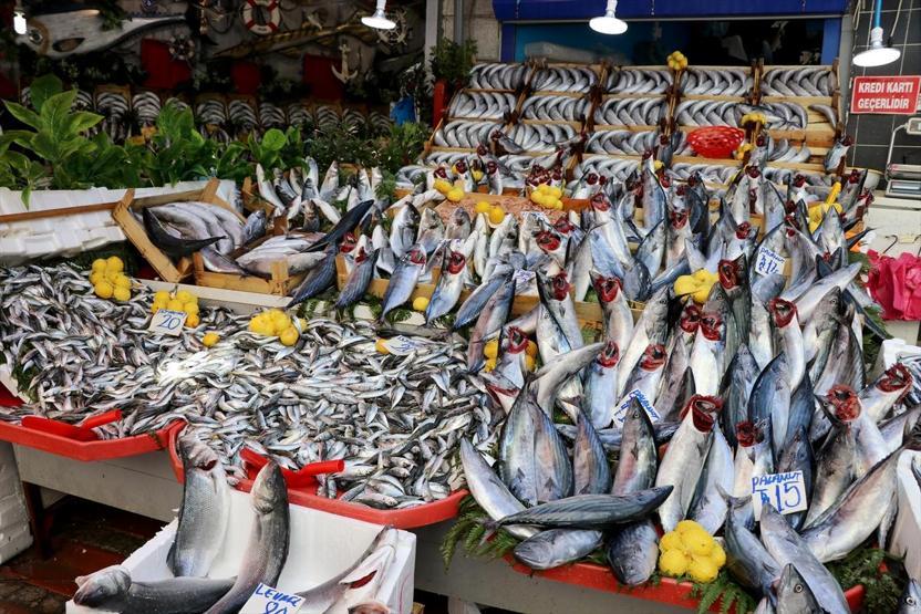 Palamut hem vatandaşı hem de balıkçıyı güldürdü: İşte fiyatları...