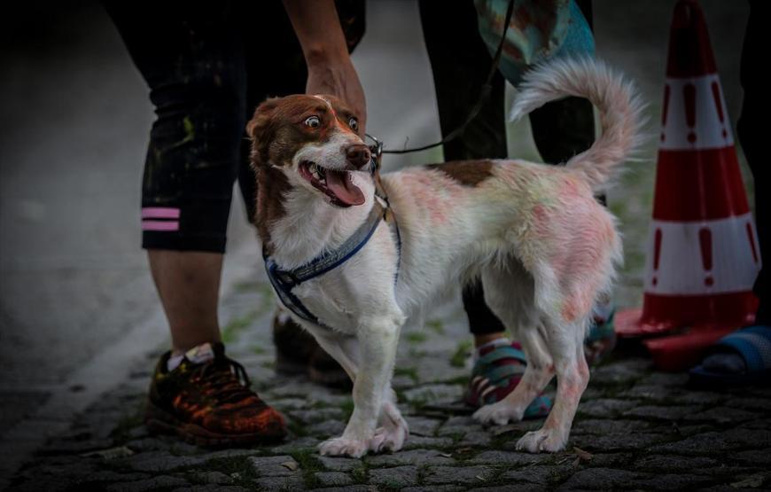 Renkli toz yağmurları altında koştular Bursada renkli koşu festivali
