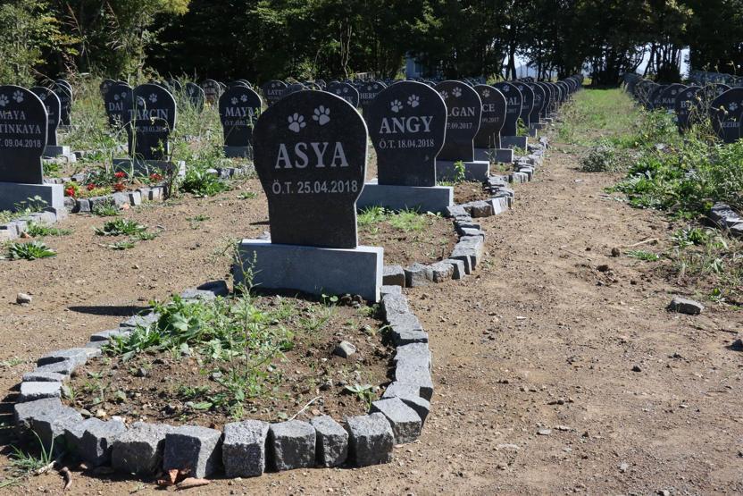 Evcil hayvanlara özel mezar