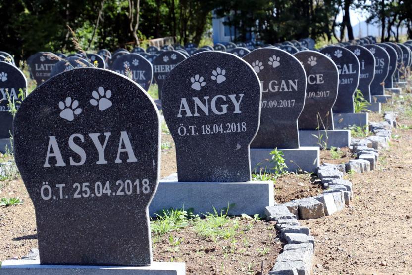 Evcil hayvanlara özel mezar