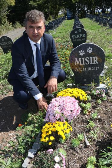 Evcil hayvanlara özel mezar