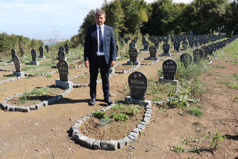 Evcil hayvanlara özel mezar