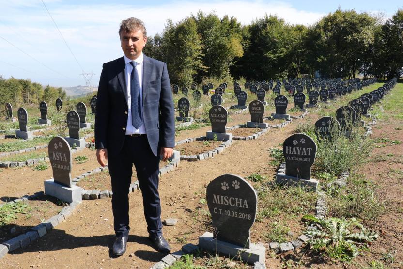 Evcil hayvanlara özel mezar