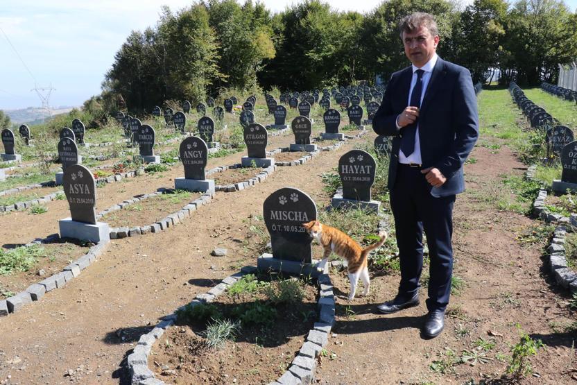 Evcil hayvanlara özel mezar