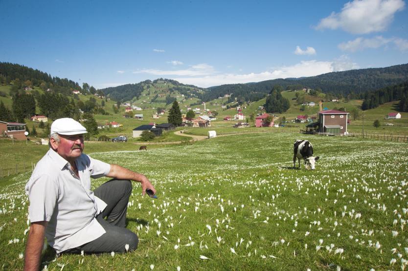 Bu yayla ilkbaharda mora, sonbaharda beyaza bürünüyor
