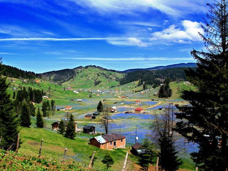 Bu yayla ilkbaharda mora, sonbaharda beyaza bürünüyor