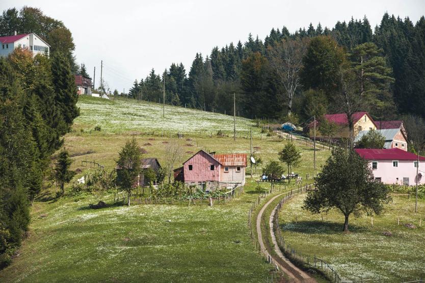Bu yayla ilkbaharda mora, sonbaharda beyaza bürünüyor