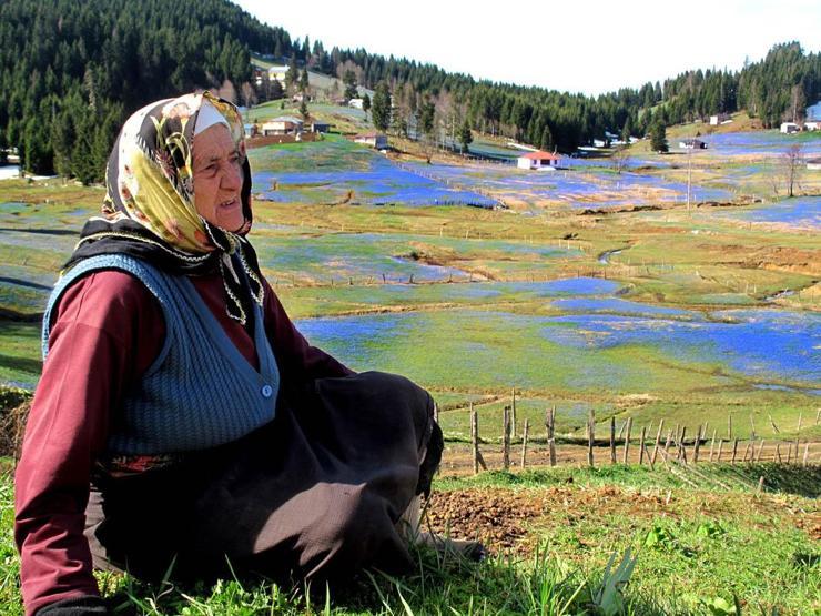 Bu yayla ilkbaharda mora, sonbaharda beyaza bürünüyor