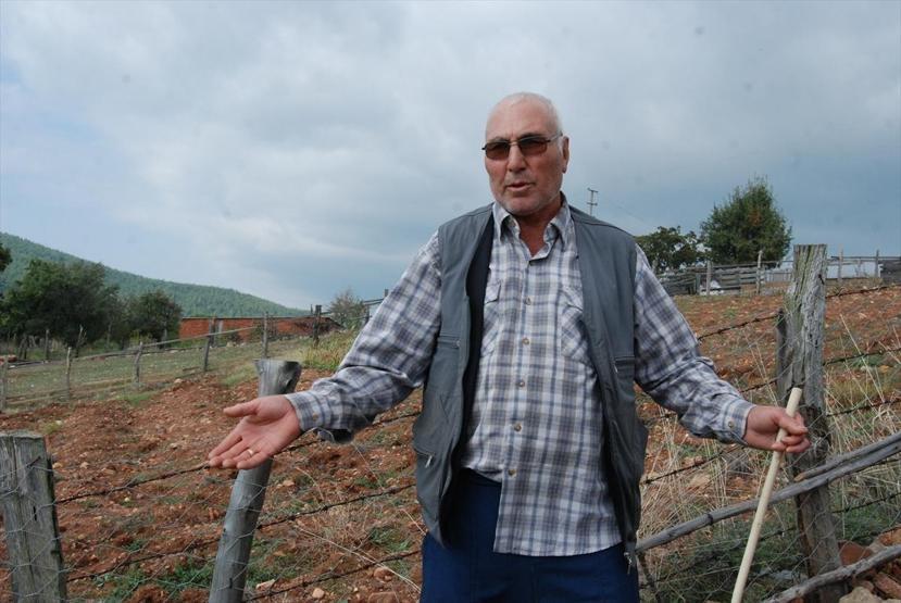 Koç, sahibini korkunç bir şekilde öldürdü