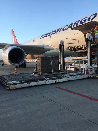 Turkish Cargo, vahşi hayvanları güvenle taşıdı