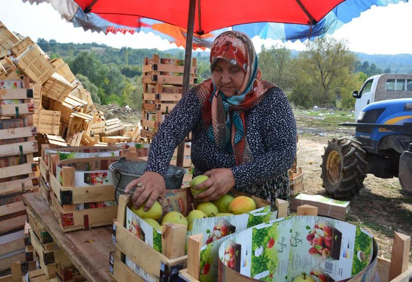 Deveci armudunda verim düşük, fiyat yüksek