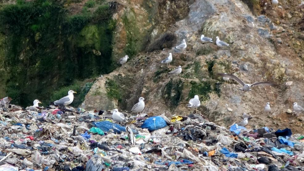Tabiat parkı bitişiğini çöplük yaptılar