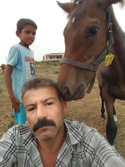 400 bin liralık yarış atını yavrusuyla birlikte çaldılar