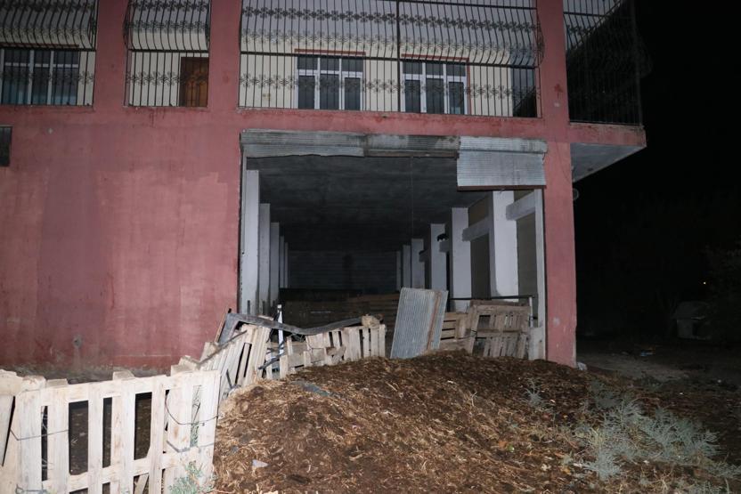 400 bin liralık yarış atını yavrusuyla birlikte çaldılar