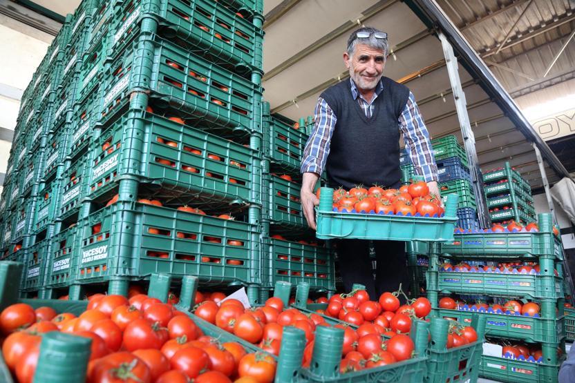 Domates tarlada 3.60 TL, market rafında 8.90 TL