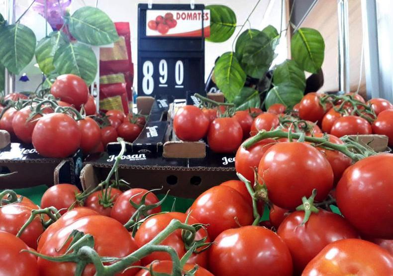 Domates tarlada 3.60 TL, market rafında 8.90 TL