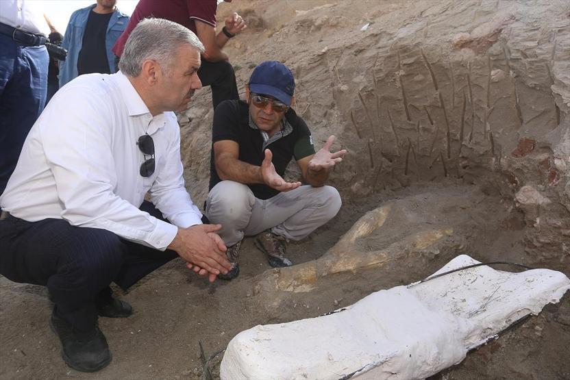 Kayseride 2 metrelik fil kafatası bulundu