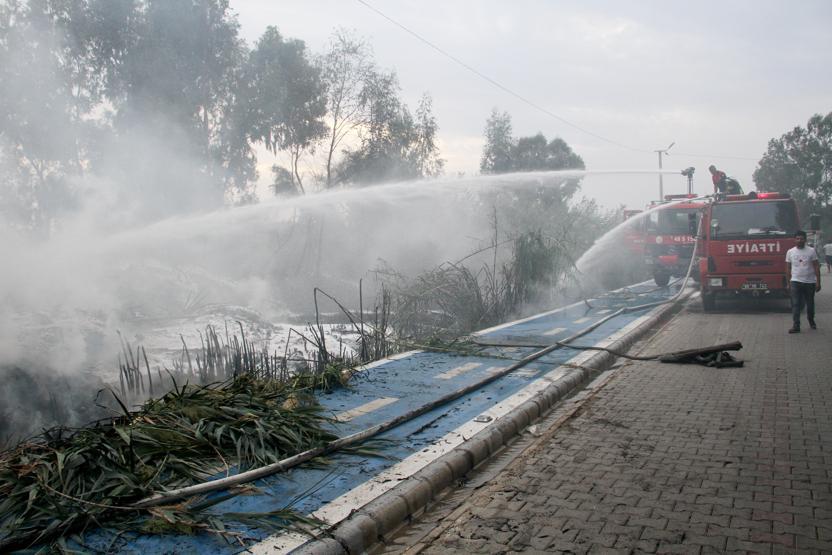 Kuş cennetinde korkutan yangın