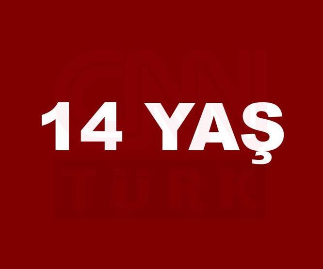 Türkiyede hangi yaşta kaç kişi yaşıyor