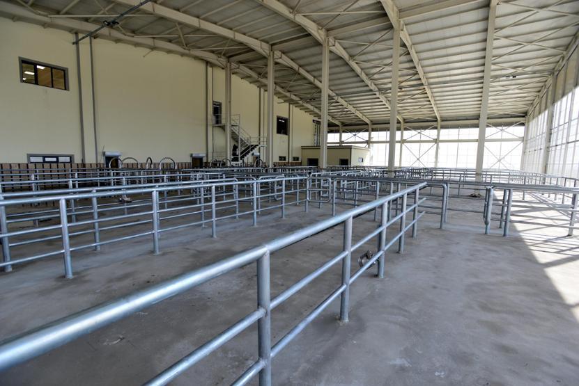 Karadeniz Bölgesinin en büyük et entegre tesisinin ilk etabı açıldı