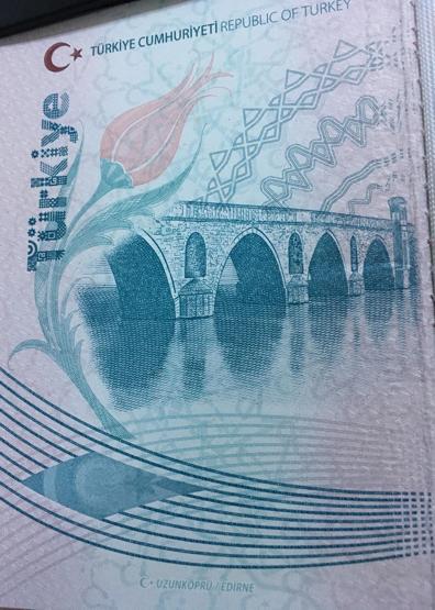 Yeni pasaportlarda hata iddiası