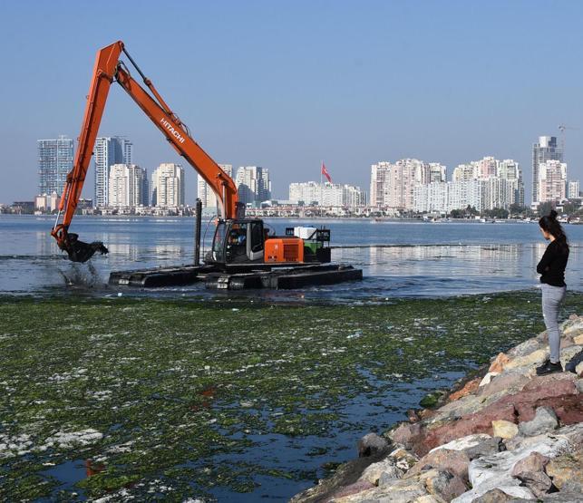 İzmir Körfezini kaplayan deniz marullarıyla ilgili korkutan açıklama