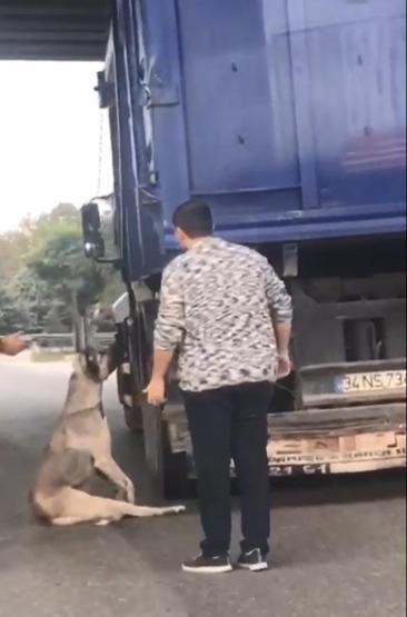 Köpek boğulmak üzereyken kurtarıldı