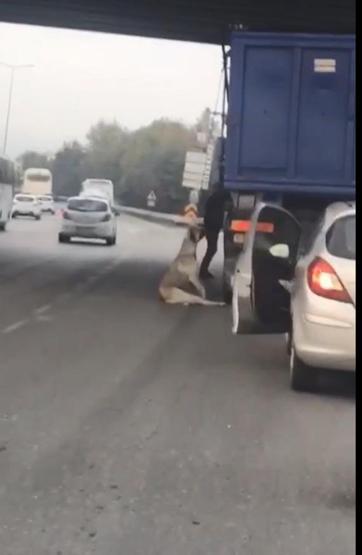 Köpek boğulmak üzereyken kurtarıldı