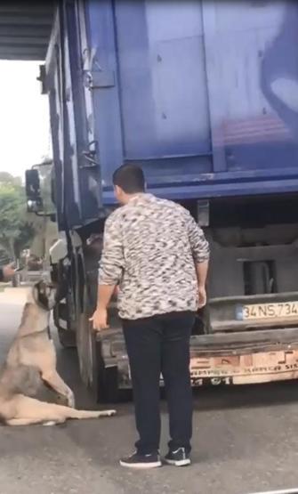 Köpek boğulmak üzereyken kurtarıldı