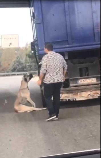 Köpek boğulmak üzereyken kurtarıldı
