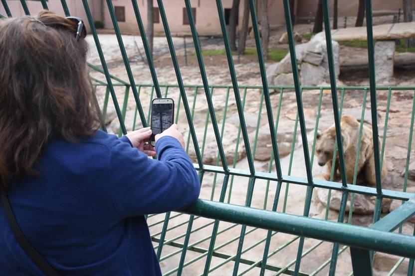Gaziantep Hayvanat Bahçesi tarihi rekor kırdı
