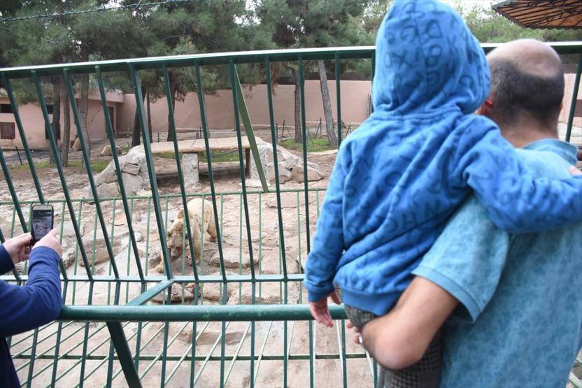 Gaziantep Hayvanat Bahçesi tarihi rekor kırdı