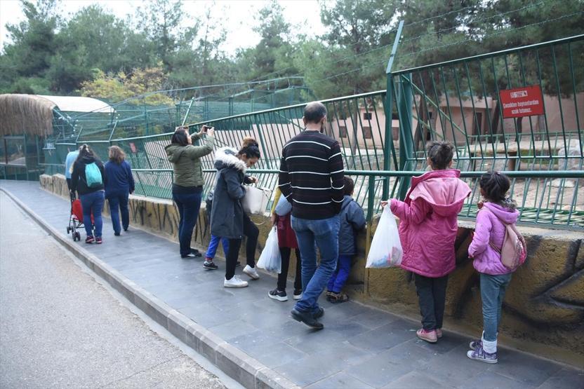 Gaziantep Hayvanat Bahçesi tarihi rekor kırdı