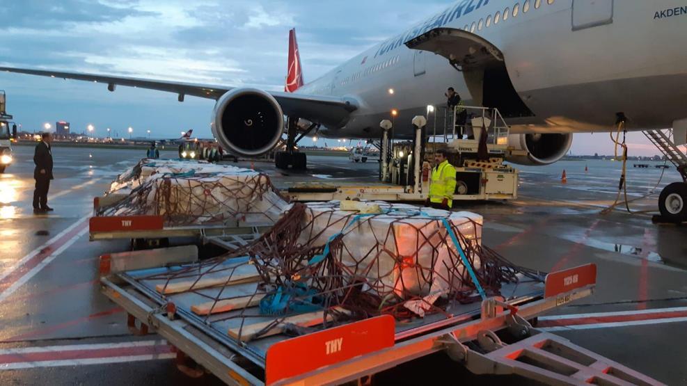 Son dakika: Çingene Kızı mozaiğinin parçaları Türkiyeye getirildi