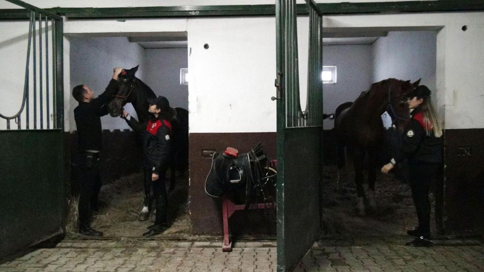 İstanbulun atlı polisleri göreve böyle hazırlanıyor