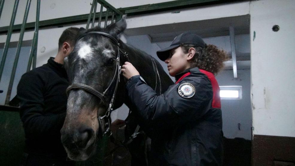 İstanbulun atlı polisleri göreve böyle hazırlanıyor