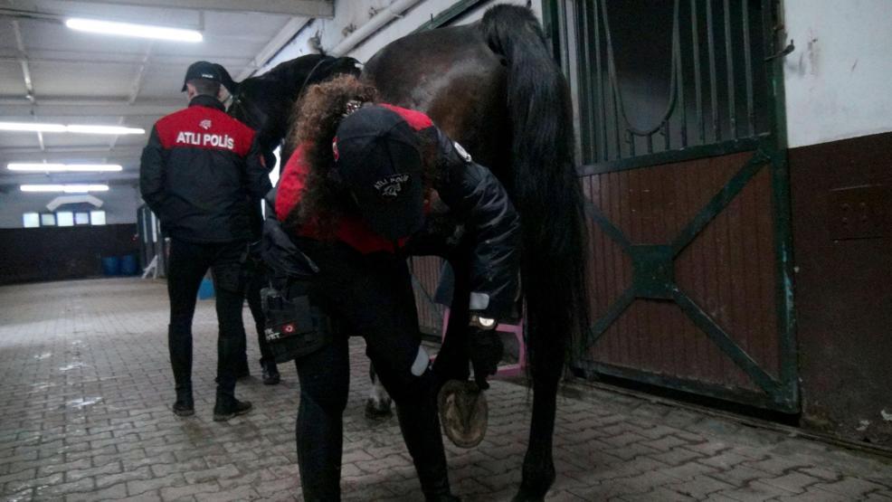 İstanbulun atlı polisleri göreve böyle hazırlanıyor