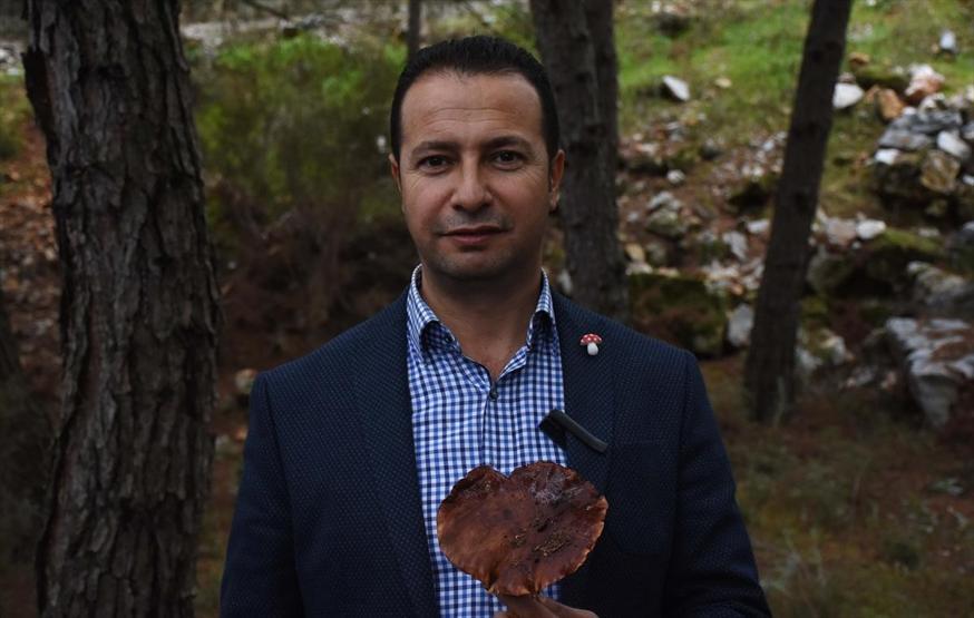 Tüm mantarlar yenir ama bazıları sadece bir kez