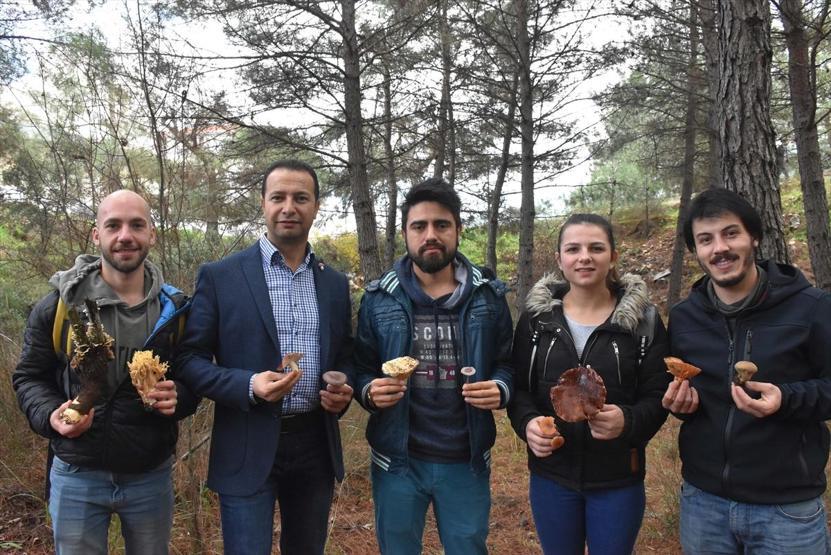 Tüm mantarlar yenir ama bazıları sadece bir kez