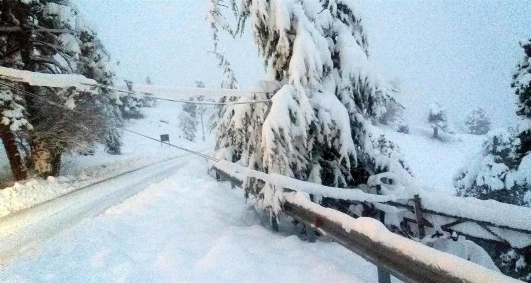 Antalya Saklıkentteki yoğun kar yağışı elektrik direklerini devirdi