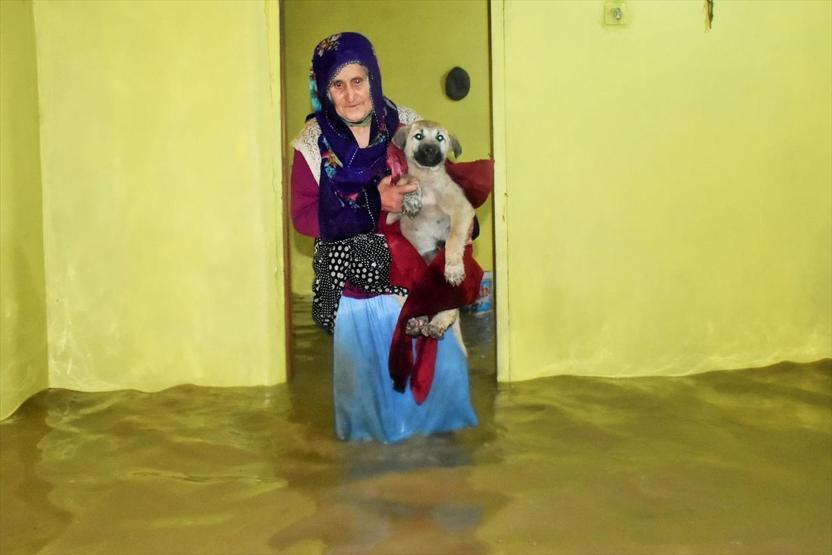 Dere taştı, ortaya bu görüntüler çıktı
