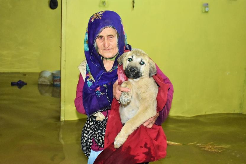 Dere taştı, ortaya bu görüntüler çıktı