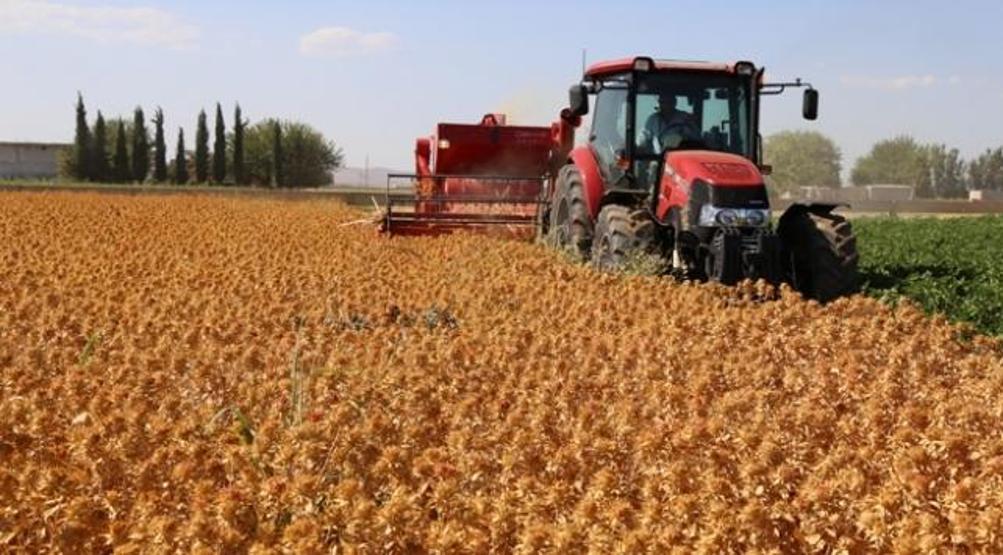İkinci 100 Günlük Eylem Planında öne çıkan projeler