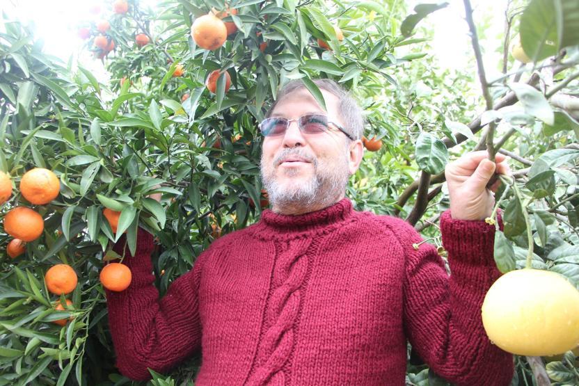 4 ülkenin meyvesini tek ağaçta yetiştirdi, bahçe ziyaretçi akınına uğradı