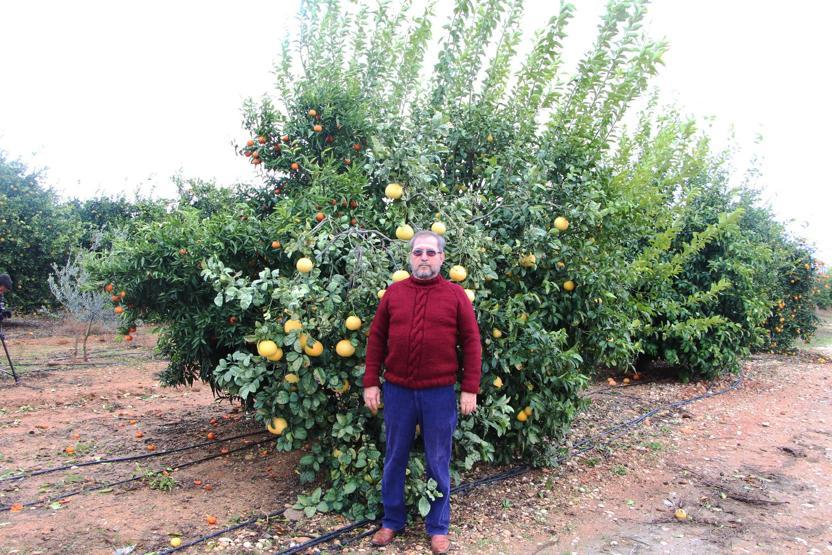 4 ülkenin meyvesini tek ağaçta yetiştirdi, bahçe ziyaretçi akınına uğradı