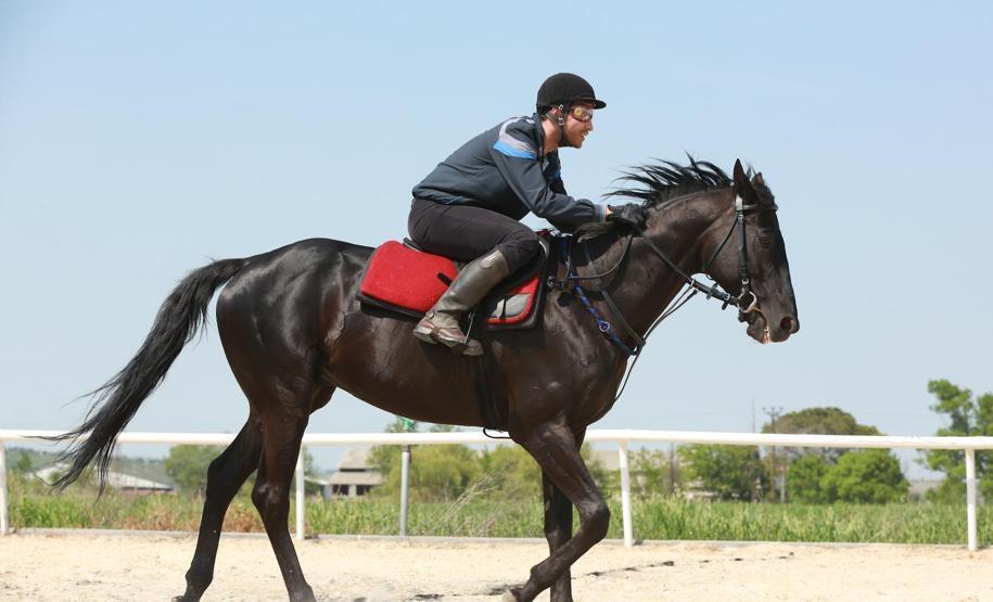 Bold Pilot gişede tam not aldı