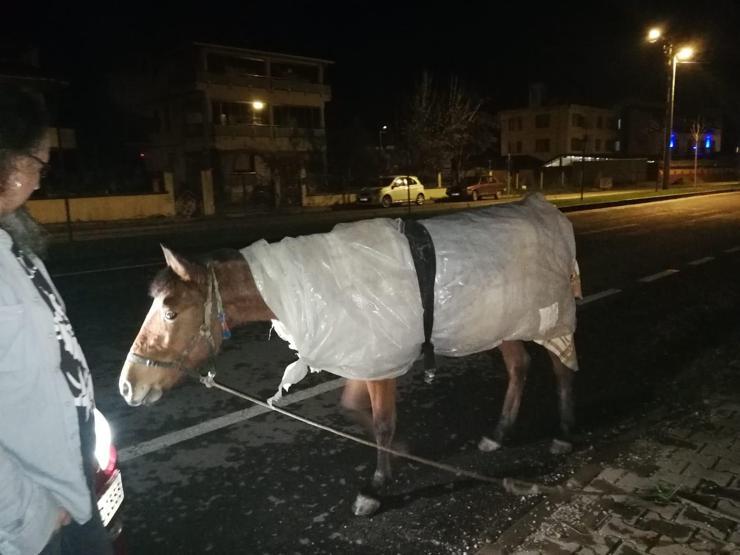 Atı donmasın diye naylonla sardılar